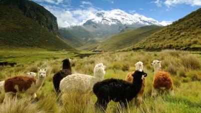 ecuador-andes
