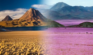 atacama3