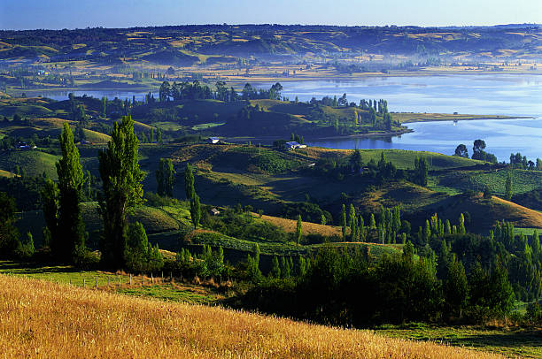 La imagen tiene un atributo ALT vacío; su nombre de archivo es 4.jpg