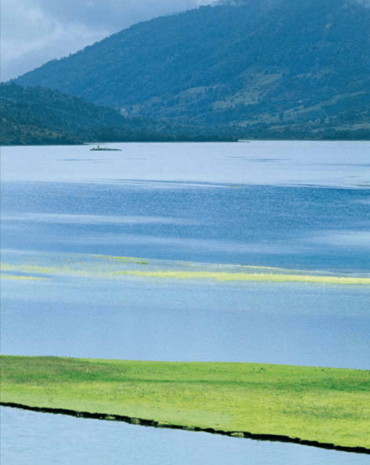 La imagen tiene un atributo ALT vacío; su nombre de archivo es chiloe-paisaje-mar-y-verde2.png