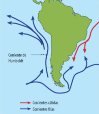 La imagen tiene un atributo ALT vacío; su nombre de archivo es corriente-nuevo.png