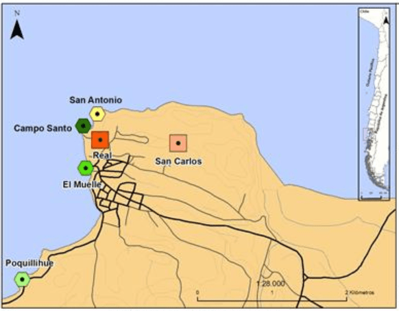La imagen tiene un atributo ALT vacío; su nombre de archivo es mapas-fuertes-chiloe.png