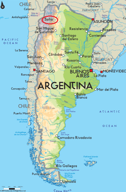 La imagen tiene un atributo ALT vacío; su nombre de archivo es argentinasalta.png